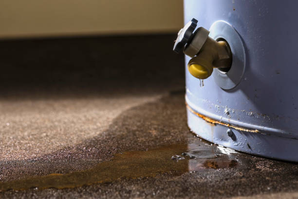 Best Basement water damage restoration  in Unicoi, TN