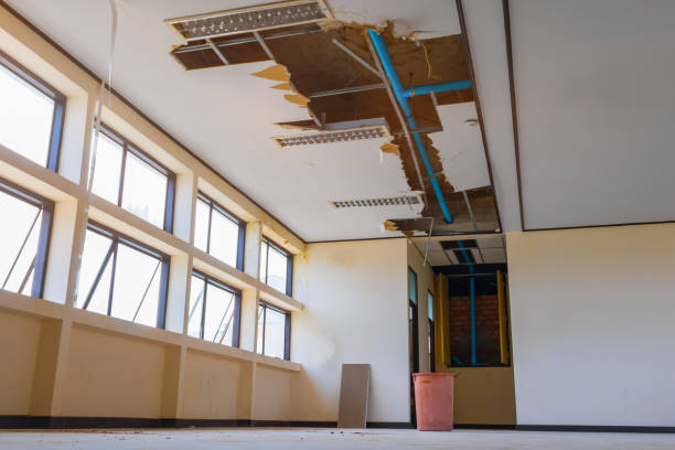 Best Water damage restoration near me  in Unicoi, TN