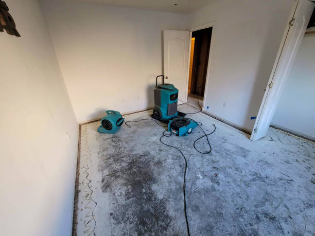 Carpet water damage restoration in Unicoi, TN