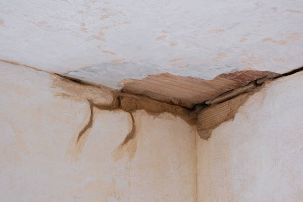  Unicoi, TN Water damage restoration Pros