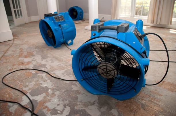 Best Water damage restoration company  in Unicoi, TN