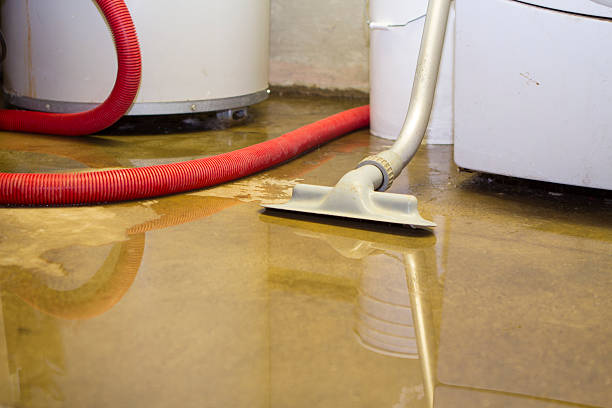 Trusted Unicoi, TN Water damage restoration Experts