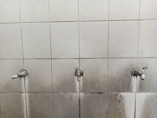 Best Professional water damage repair  in Unicoi, TN