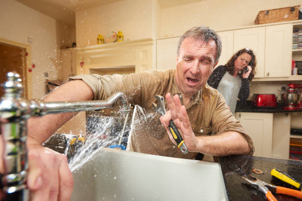 Best Water damage restoration experts  in Unicoi, TN